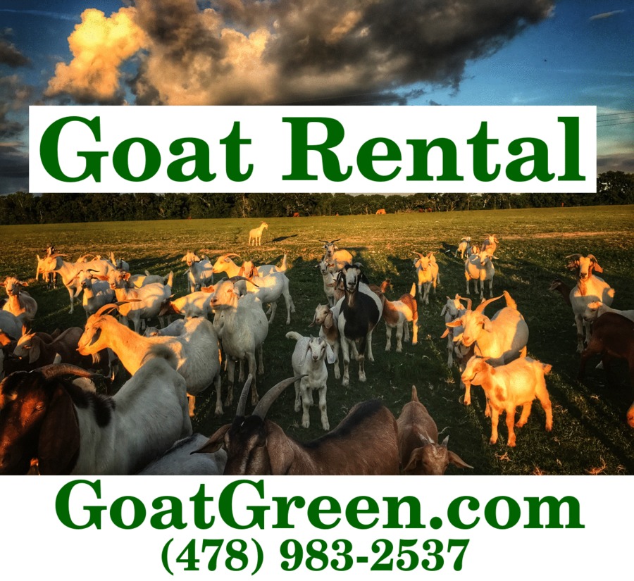 GoatGreen.com Logo